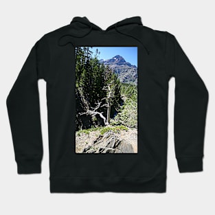 Glacier National Park, Dead Tree and Mountain Hoodie